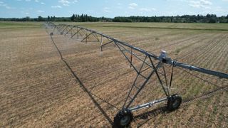 Les comités de bassin recommandent unanimement de tout faire pour produire avec moins d’eau. Les comités de bassin recommandent unanimement de tout faire pour produire avec moins d’eau.