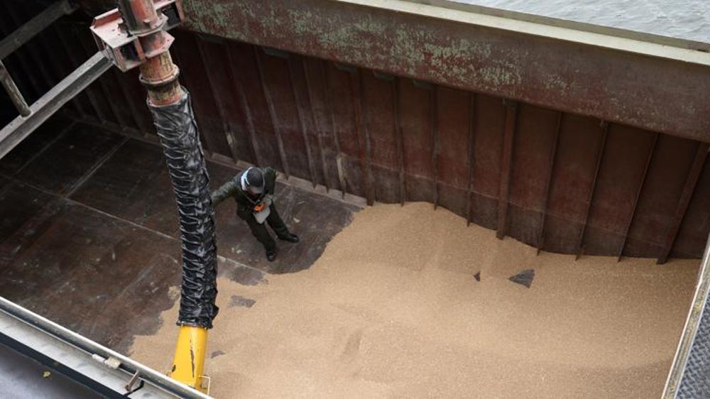 Dans le sillage du soja, le maïs et les céréales à paille voient leurs prix grimper. © C. Faimali/GFA