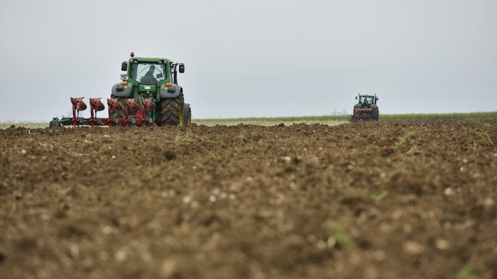 Les éleveurs comme les céréaliers verront leur cotisation Atexa diminuer d’environ 1 % en 2021. © C. Faimali/GFA