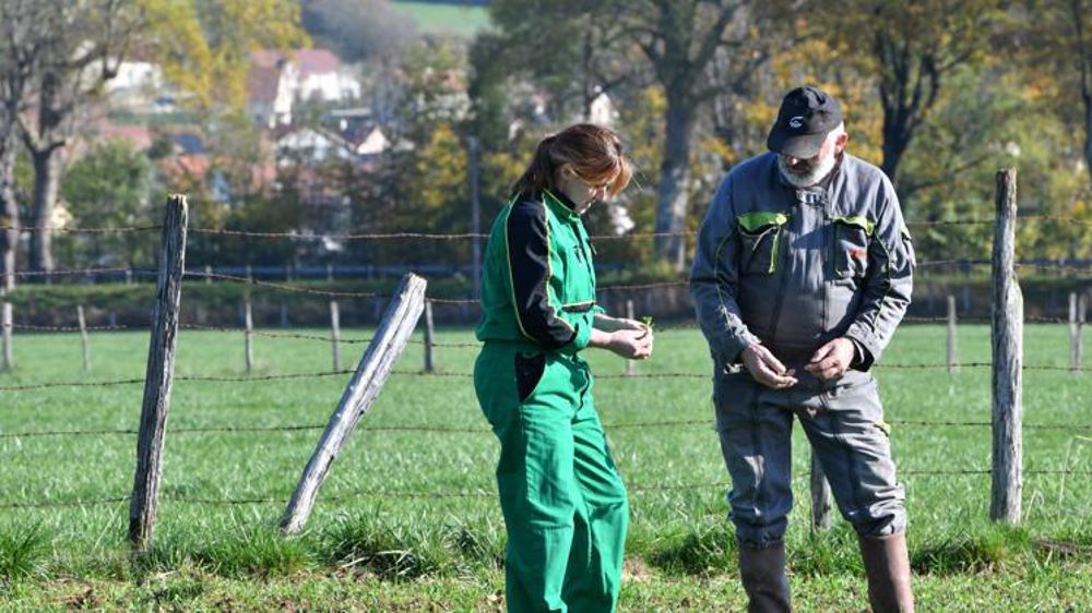 Les exploitants agricoles peuvent prétendre aux indemnités journalières Amexa pour la période où il s’isole, en attendant de recevoir le résultat de leur test Covid. © J.-P. Amet