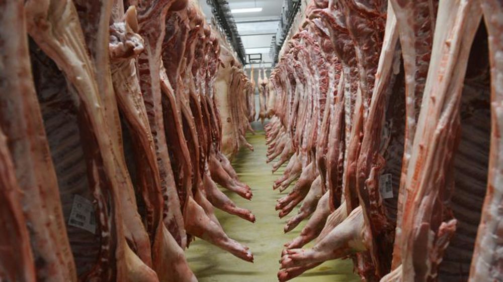 En janvier 2021, « les cours sont stables et assez proches du niveau saisonnier habituel », estime Agreste. © Cédric Faimali/GFA