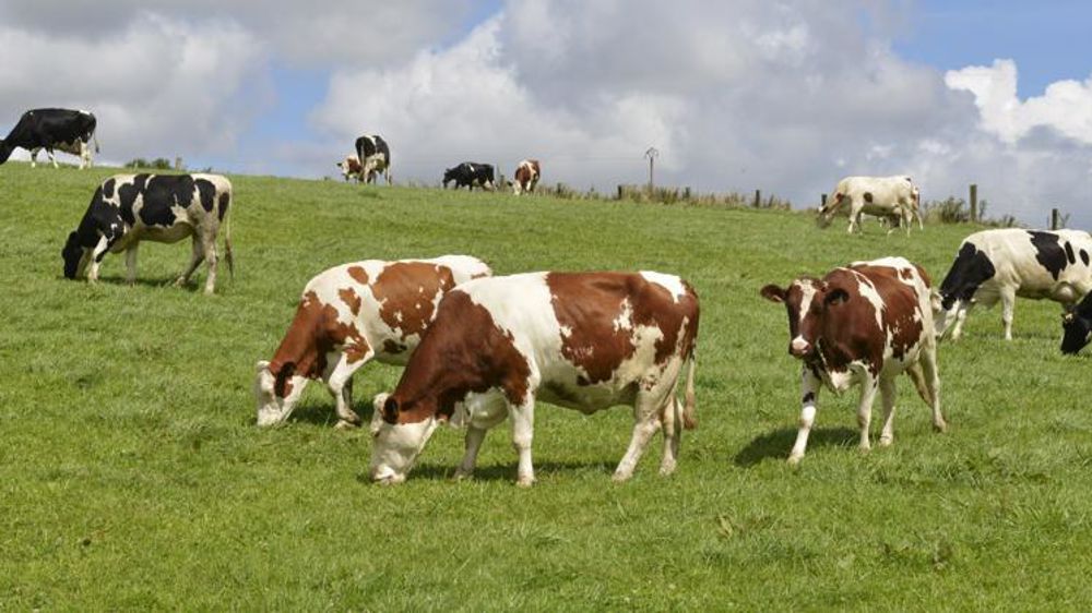 © Cédric Faimali/GFA