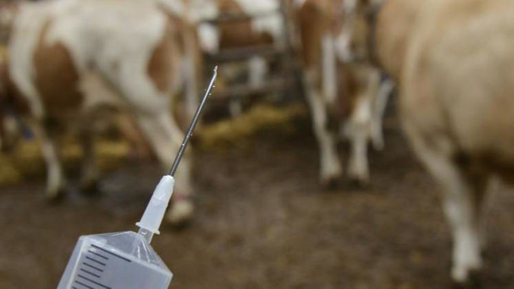 © Cédric Faimali/GFA