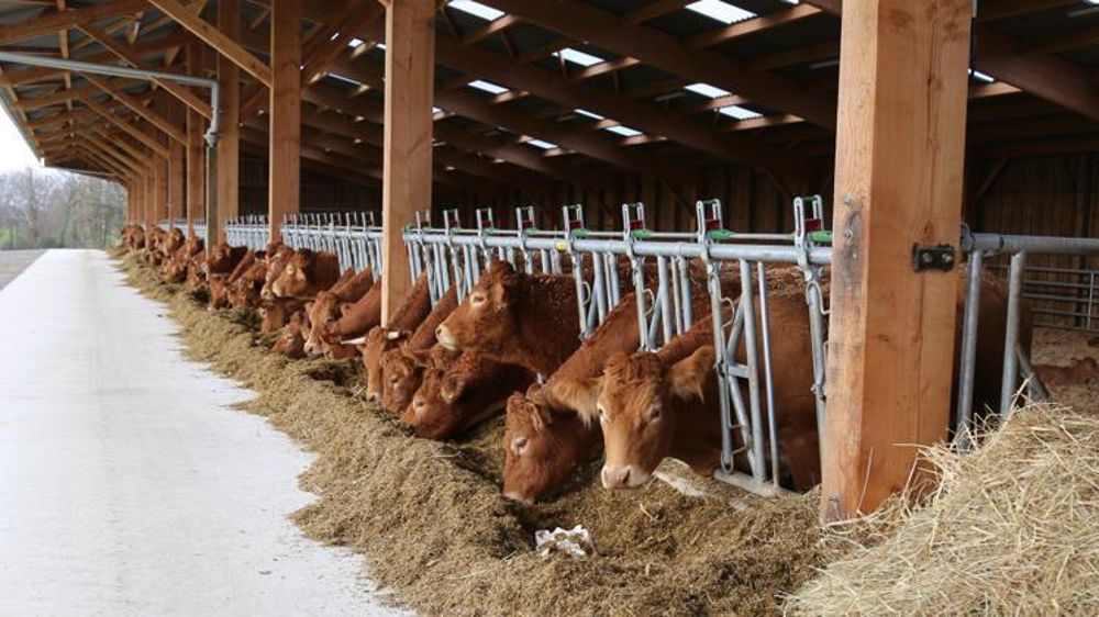 © M.-F. Malterre/GFA