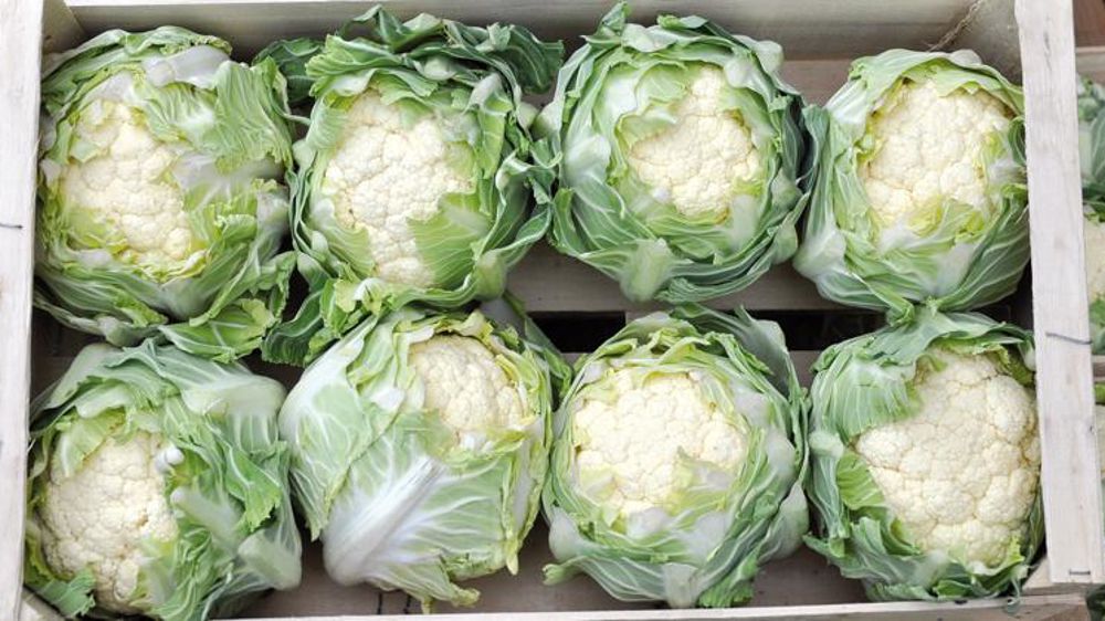 © Philippe Dufour/Interfel