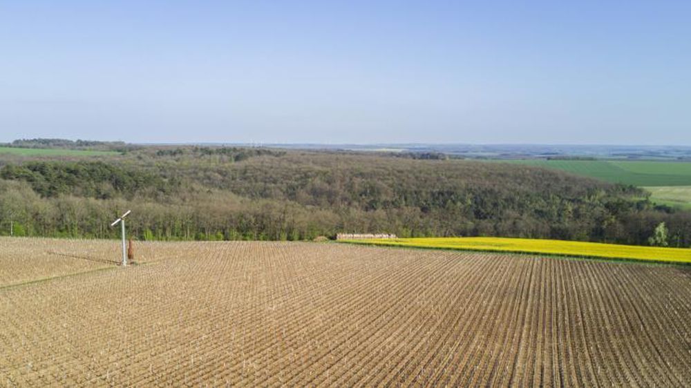 Le soleil devrait s’installer pour toute la semaine sur tout le territoire français. © C. Faimali/GFA