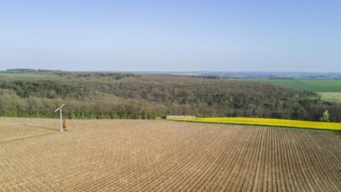 Le soleil devrait s’installer pour toute la semaine sur tout le territoire français. © C. Faimali/GFA Le soleil devrait s’installer pour toute la semaine sur tout le territoire français. © C. Faimali/GFA