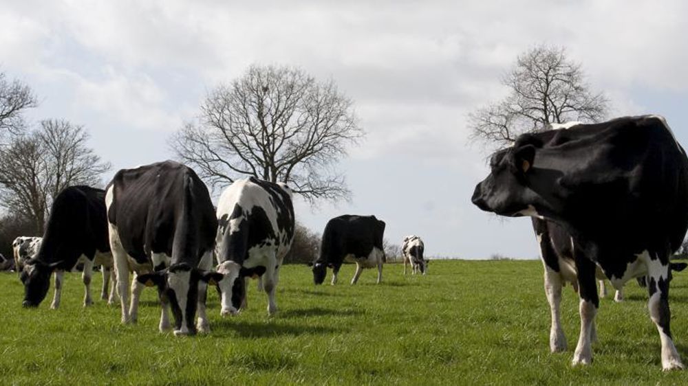 © Sébastien Champion