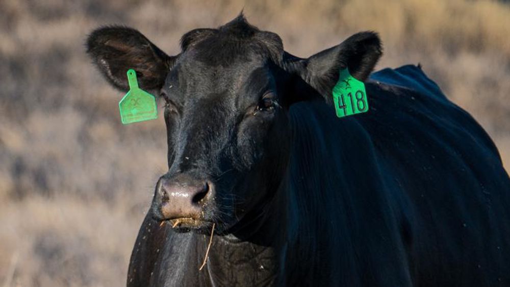 © USDA/Lance Cheung