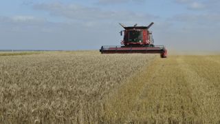 Selon les estimations du 29 avril 2021 du Conseil international des céréales, la production mondiale de céréales (blé et céréales secondaires) devrait atteindre 2 226 millions de tonnes. © Cédric Faimali/GFA Selon les estimations du 29 avril 2021 du Conseil international des céréales, la production mondiale de céréales (blé et céréales secondaires) devrait atteindre 2 226 millions de tonnes. © Cédric Faimali/GFA