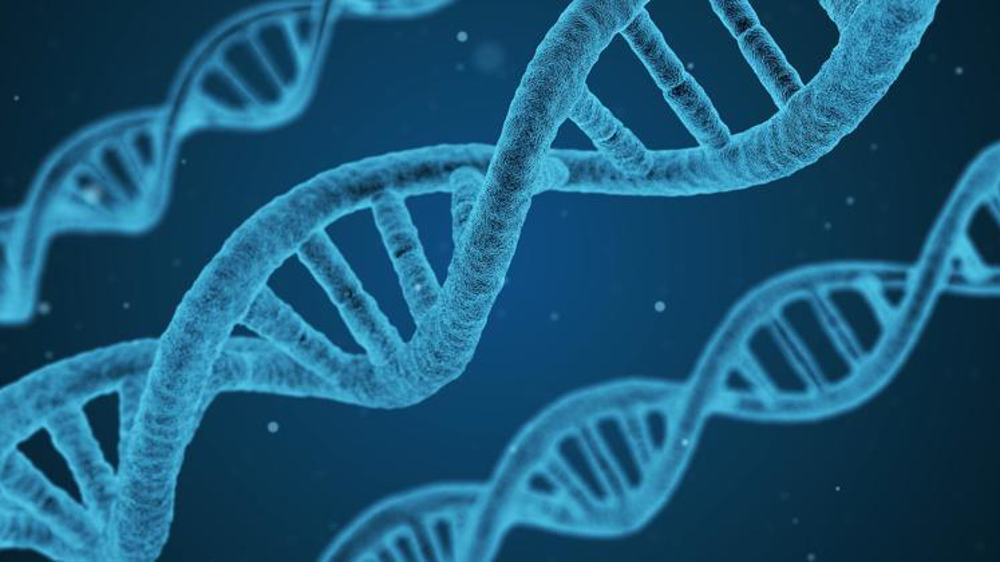 Euroseeds appelle à une « action urgente pour aligner sa législation vieille de plus de vingt ans sur les progrès scientifiques ». © Pixabay