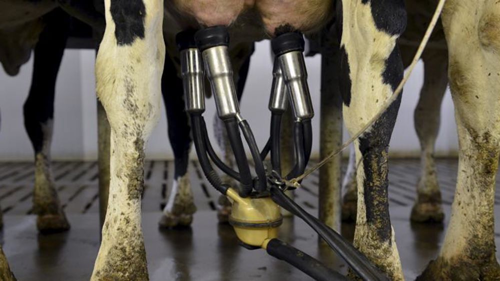 © Cédric Faimali/GFA