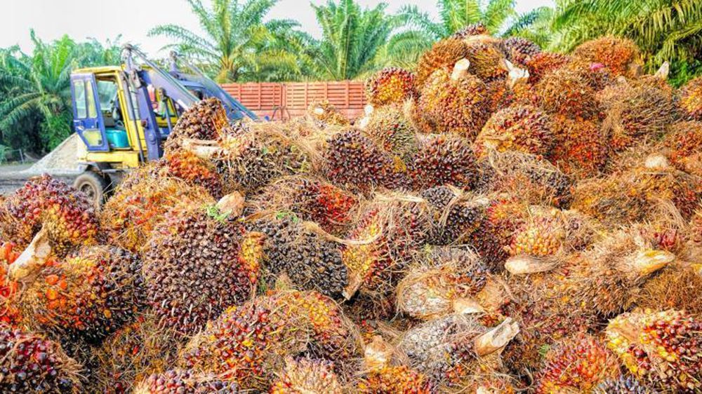 La Commission européenne a décidé d’imposer des droits compensateurs sur le biodiesel indonésien. © Pixabay