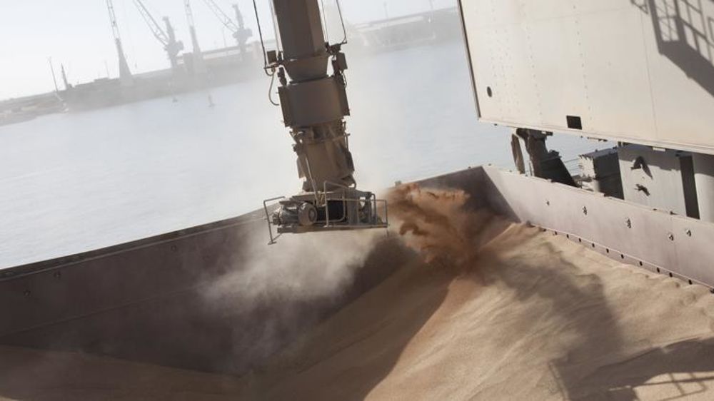 Les cours des céréales à pailles, du soja et du colza se sont raffermis à la fin de la semaine. © Sébastien Champion