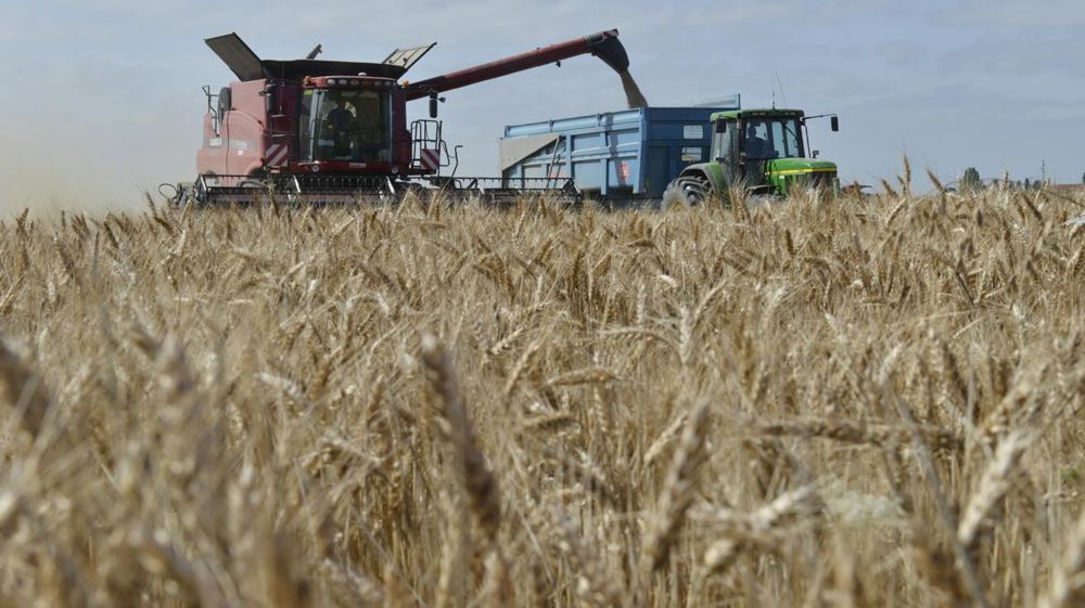 © Cédric Faimali/GFA