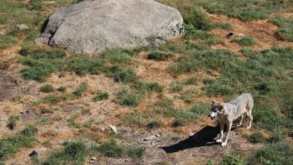 © M.-F. Malterre/GFA