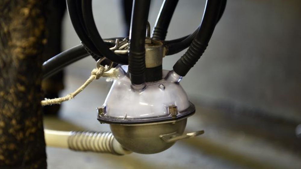 La collecte française de lait de vache progresse dans la majorité des bassins laitiers entre mai 2020 et mai 2021. © Cédric Faimali/GFA