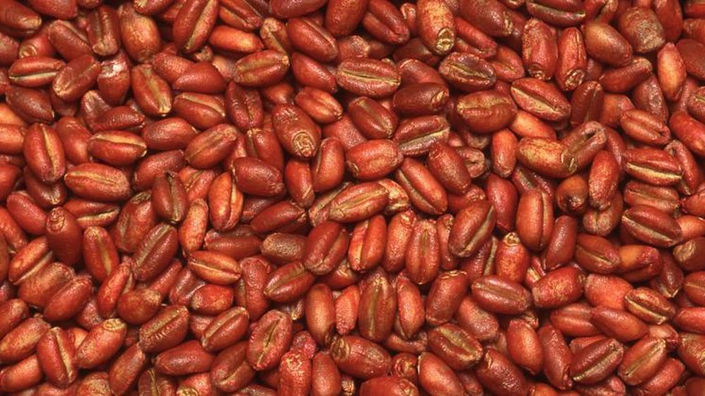 © Pascal Crapon/GFA