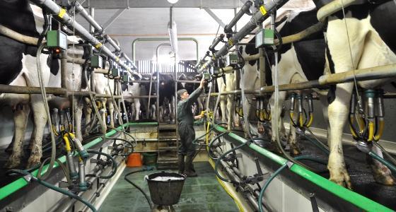 Prix du lait - traite