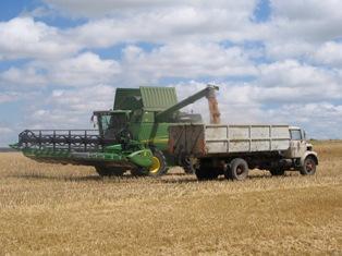 Hausse des prix agricoles poussés par la météo
