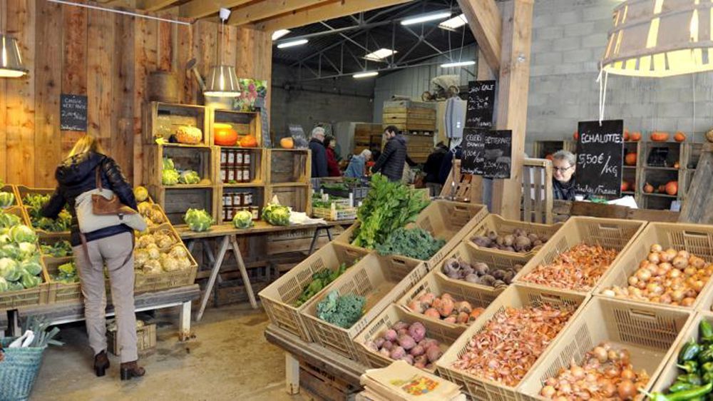 La métropole de Lyon va multiplier son budget par quatre pour soutenir l’agriculture bio et locale. (Photo d’illustration) © Cédric Faimali/GFA