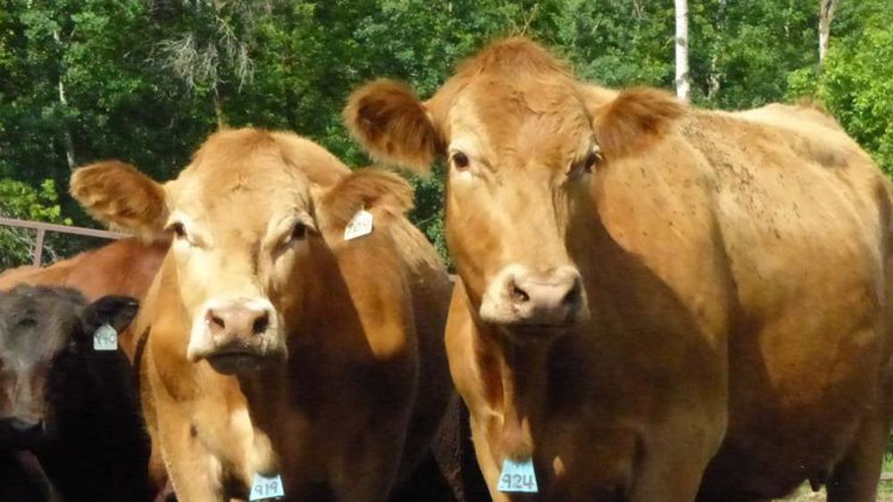 © P. Bourdois / GFA