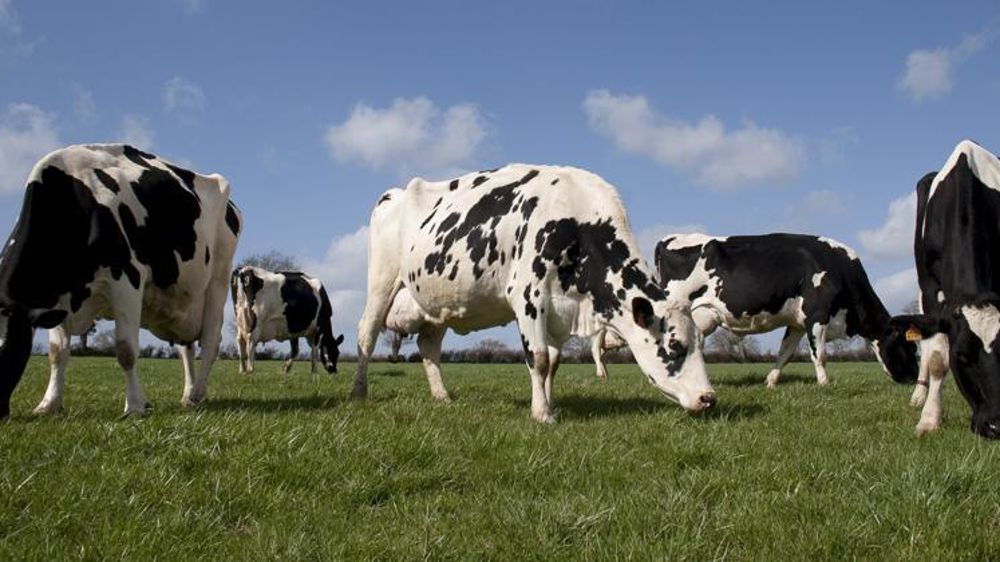 © Sébastien Champion