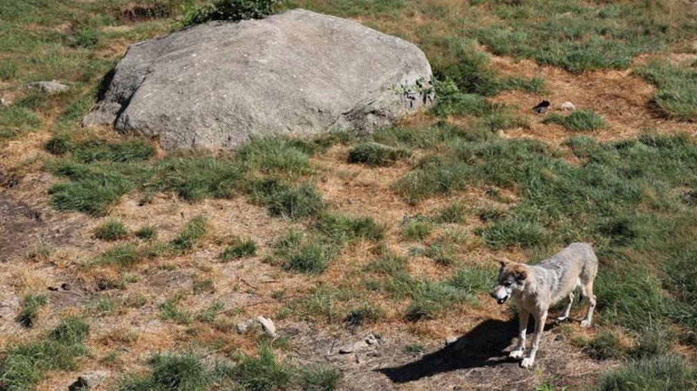 © M.-F. Malterre/GFA