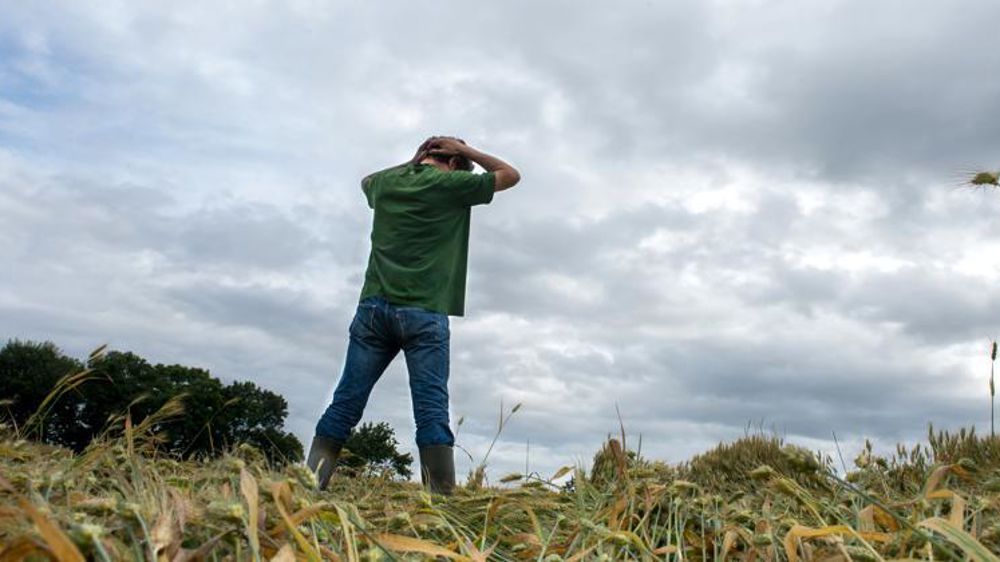 Le changement climatique est perçu par les agriculteurs comme très préoccupant pour leur avenir. © Jean-Michel Nossant