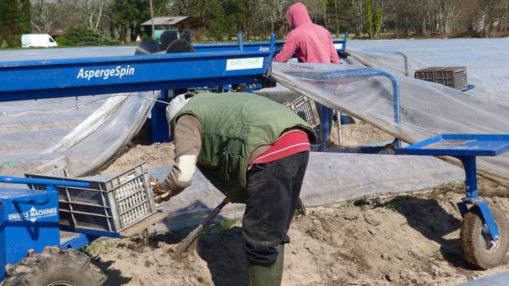 Photo d’illustration de travailleurs détachés. © A. Delest