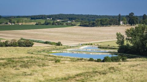 La FNSEA a déposé plainte contre le collectif « Bassines Non Merci » pour avoir diffusé une vidéo d’activistes en pleine dégradation d’une « bassine » de la Charente-Maritime. (photo d’illustration) © Jean-Bernard Nadeau La FNSEA a déposé plainte contre le collectif « Bassines Non Merci » pour avoir diffusé une vidéo d’activistes en pleine dégradation d’une « bassine » de la Charente-Maritime. (photo d’illustration) © Jean-Bernard Nadeau