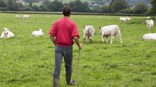 Les bénéficiaires de l’ARP devront attendre 5 ans avant de pouvoir revenir à l’agriculture. © Claudius Thiriet Les bénéficiaires de l’ARP devront attendre 5 ans avant de pouvoir revenir à l’agriculture. © Claudius Thiriet