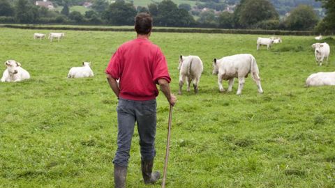 Les bénéficiaires de l’ARP devront attendre 5 ans avant de pouvoir revenir à l’agriculture. © Claudius Thiriet Les bénéficiaires de l’ARP devront attendre 5 ans avant de pouvoir revenir à l’agriculture. © Claudius Thiriet