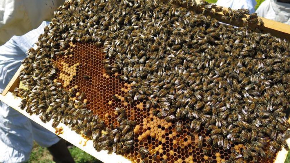 © C. Fricotté/GFA