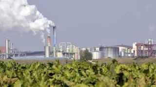 L’OCDE et la FAO prévoient aussi une hausse de la demande en sucre un peu partout dans le monde. © Philippe Montigny L’OCDE et la FAO prévoient aussi une hausse de la demande en sucre un peu partout dans le monde. © Philippe Montigny