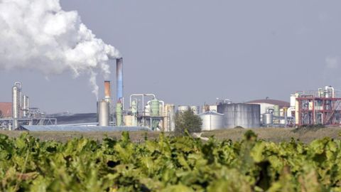 L’OCDE et la FAO prévoient aussi une hausse de la demande en sucre un peu partout dans le monde. © Philippe Montigny L’OCDE et la FAO prévoient aussi une hausse de la demande en sucre un peu partout dans le monde. © Philippe Montigny