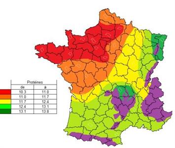 Une grande zone du  Nord Ouest de la France pourrait se retrouver avec des taux de protéines inférieurs à 11 %.