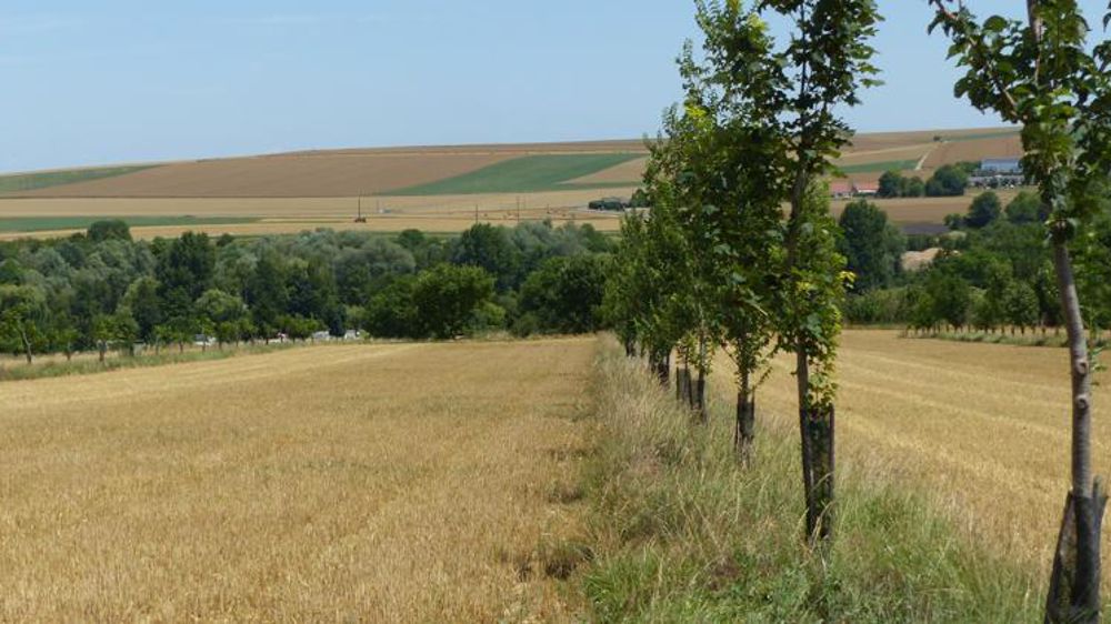 © A. Cassigneul/GFA