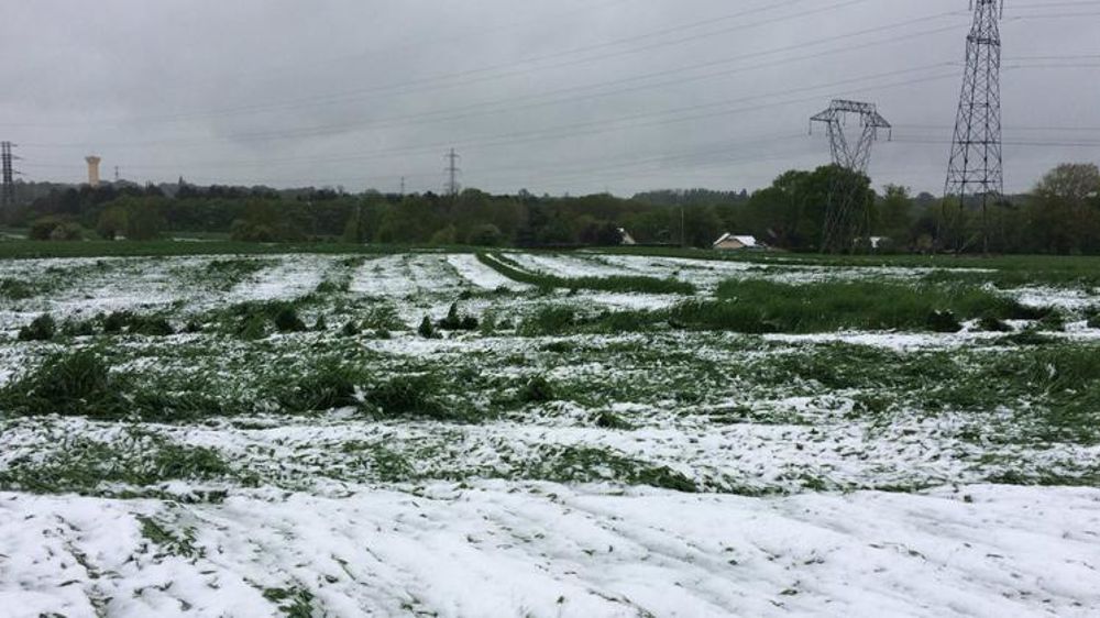 © Twitter/V. Masselin