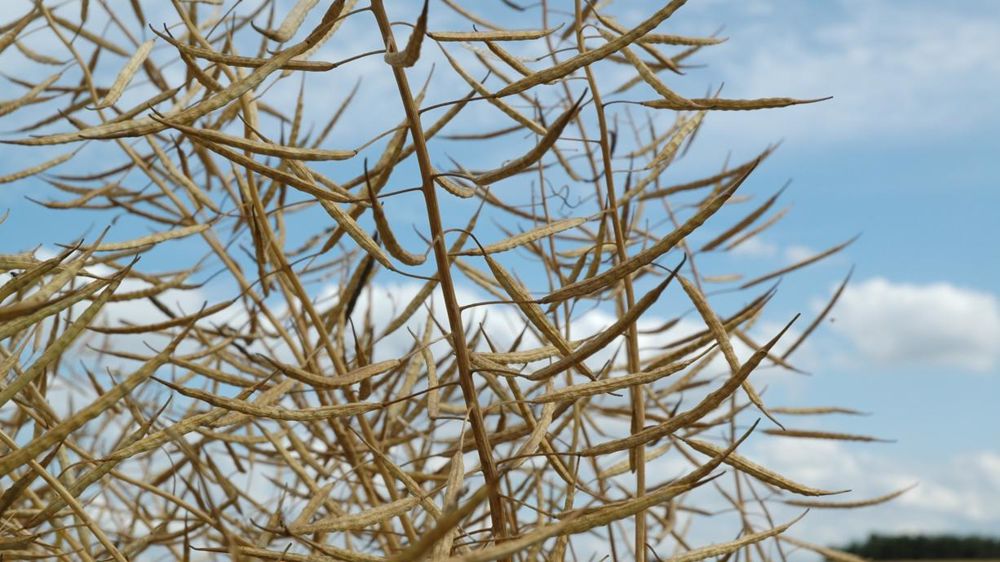 © Pascal Crapon/GFA