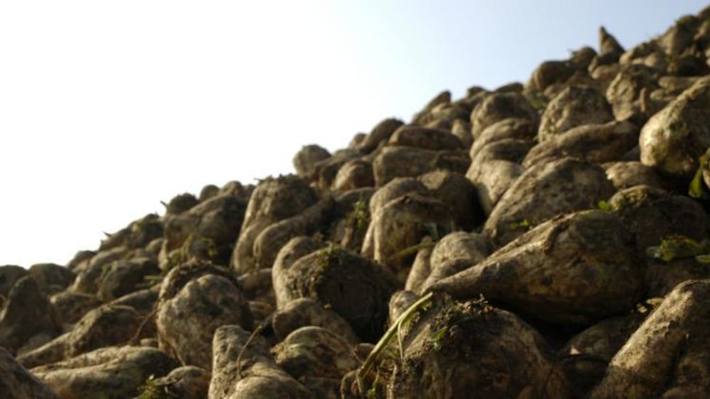 © Pascal Crapon/GFA