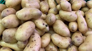 La Coordination rurale estime que les producteurs de pommes de terre ne doivent pas être exclus de la règle de non-négociabilité des prix des matières premières de la loi Egalim 2. © Cédric Faimali/GFA La Coordination rurale estime que les producteurs de pommes de terre ne doivent pas être exclus de la règle de non-négociabilité des prix des matières premières de la loi Egalim 2. © Cédric Faimali/GFA