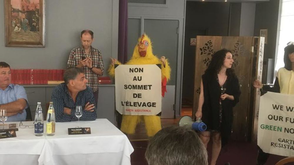 © Monique Roque-Marmeys