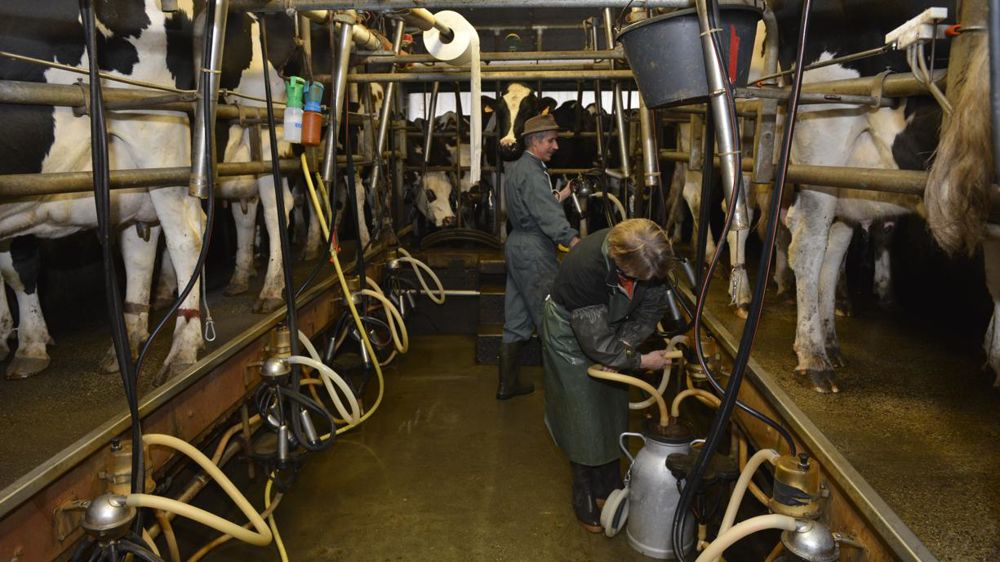 À partir du 1er janvier 2022, le statut de conjoint collaborateur ne pourra pas dépasser une durée égale à 5 ans. © Cédric Faimali/GFA