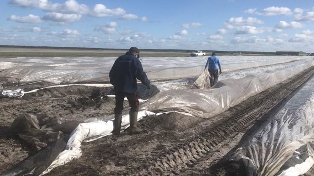 Le Premier ministre a donné pour mission au Cese d’identifier les freins au développement des groupements d’employeurs. © R. Aries/GFA