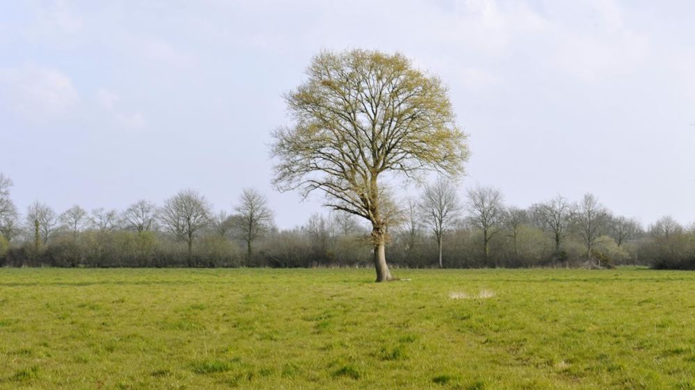 © Cédric Faimali/GFA