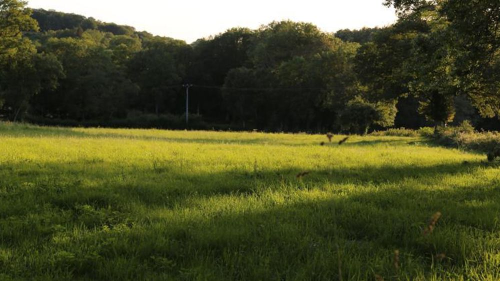 Dans la moitié des régions fourragères, la pousse de l’herbe atteint son plus haut niveau des sept dernières années. © M.-F. Malterre