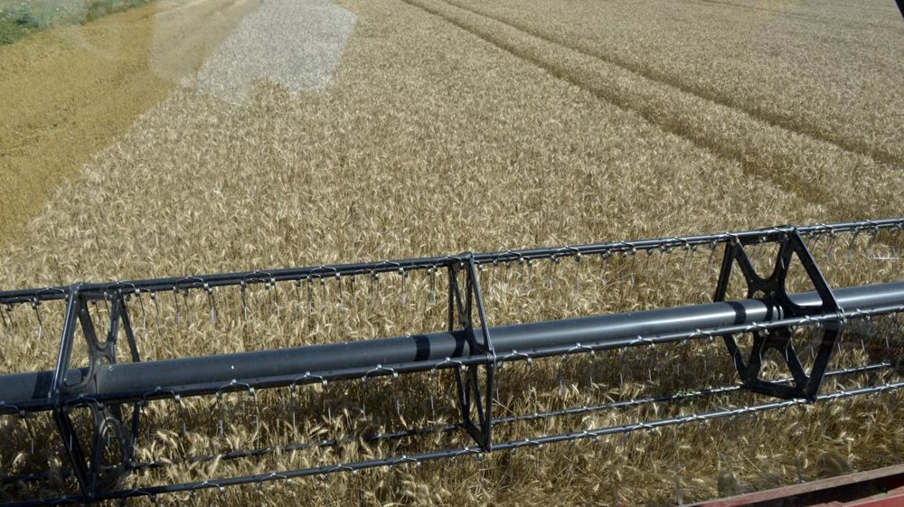 © Cédric Faimali/GFA