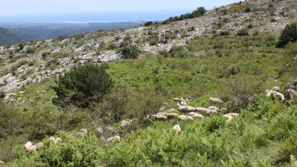 © M.-F. Malterre/GFA