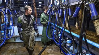 Les plus bas salaires de la grille de rémunération des salariés de la production agricole et des Cuma vont augmenter à partir de la feuille de paye de décembre 2021. © Thierry Pasquet Les plus bas salaires de la grille de rémunération des salariés de la production agricole et des Cuma vont augmenter à partir de la feuille de paye de décembre 2021. © Thierry Pasquet